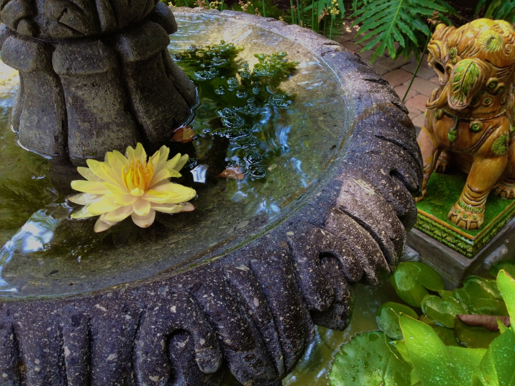 HOUSTON WATER FOUNTAIN INSTALLS Glenwood er Design Houston, TX