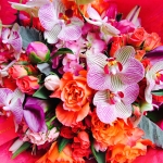 Purple Striped Phalaenopsis Orchids, Pink Peonies, Tulips, Orange Roses, Violet Calla Lillies and Hydrangea by Glenwood Weber Design