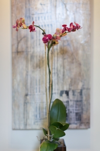 Orange/Purple Phalaenopsis Orchid in glass cylinder vase