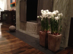 Paper Whites Narcissus papyraceus in Tall Bronze Pottery by Fireplace
