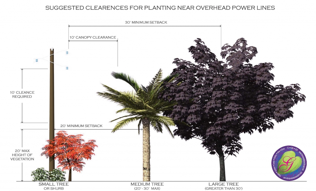 Glenwood Weber Design Guide to Planting Trees near Power Lines