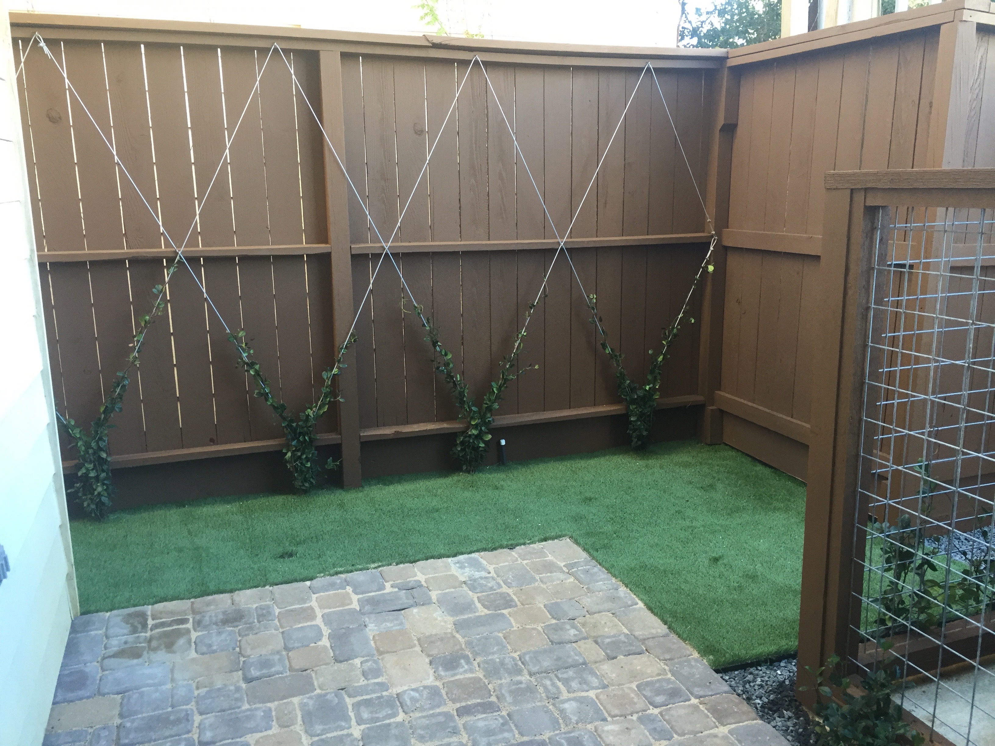 Artificial Sod with Trellis along the fence